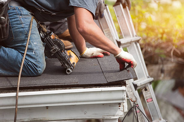 Best Storm Damage Roof Repair  in Powell, AL